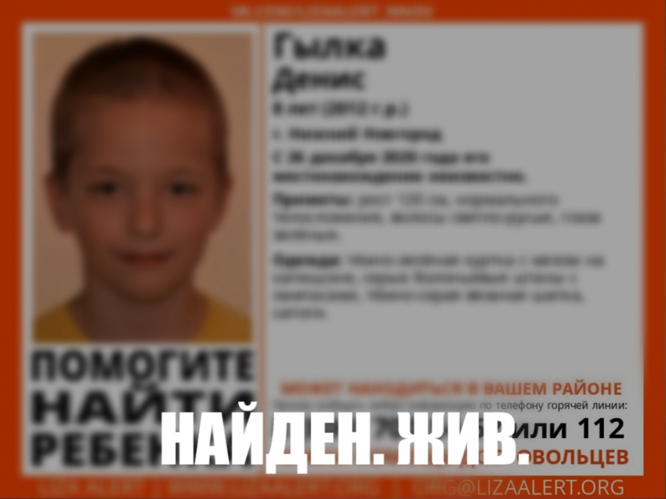 Image for Найден пропавший в Нижнем Новгороде 8-летний ребенок