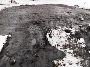 Image for Нефтепродукты обнаружили в слитом автоцентром в лесу Дзержинска веществе