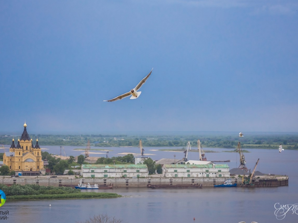 Image for Нижний Новгород претендует на звание самого узнаваемого города страны