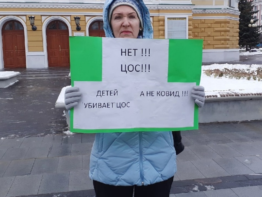 Image for Нижегородцы продолжают пикетировать против дистанта в школе