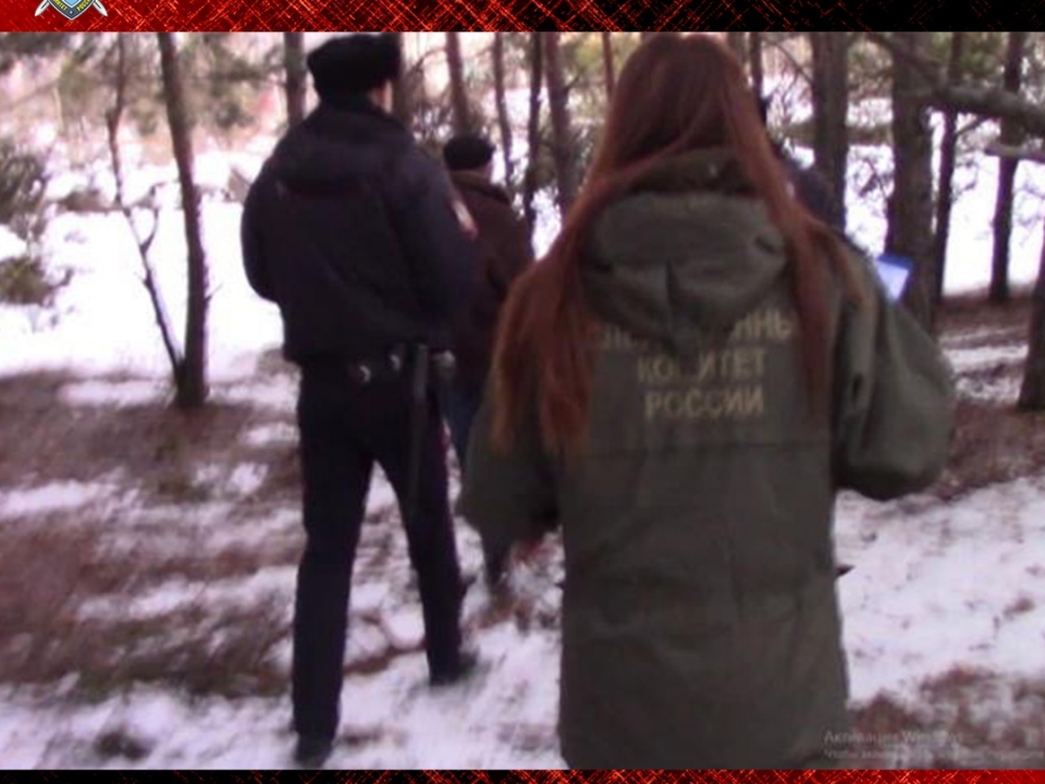 Image for Житель Дзержинска убил и расчленил гостя за упрек о судимости 