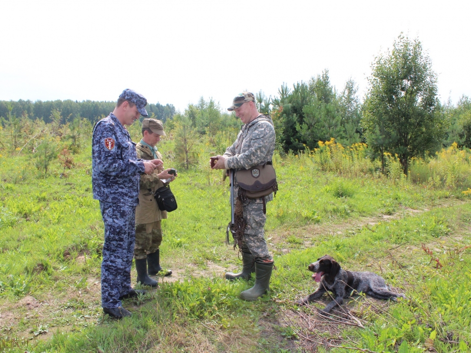 Сезон охоты на боровую дичь с собаками завершился в Нижегородской области