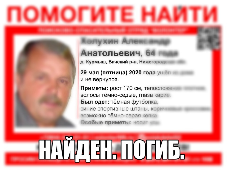 Image for Пропавший в Вачском районе пенсионер найден погибшим