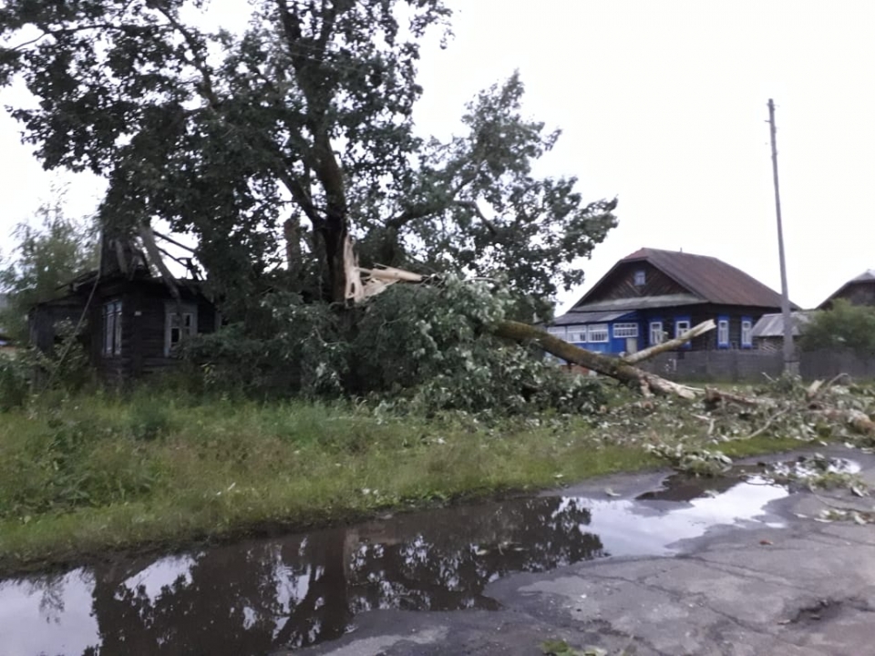 Поваленные деревья и град: сильный ураган прошелся по северу Нижегородской области