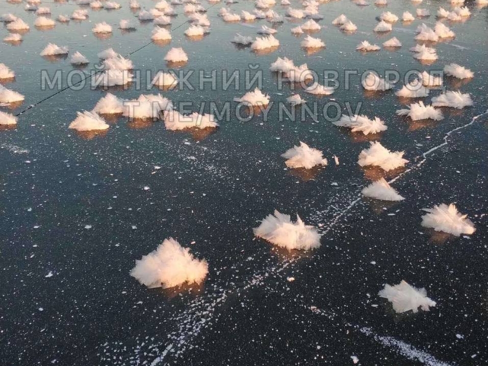 Image for «Ледяные цветы» образовались на льду реки в Нижегородской области