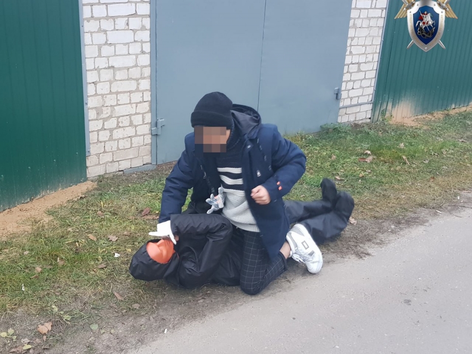 Image for Нижегородский подросток получил 3,4 года условно за жестокое избиение школьника