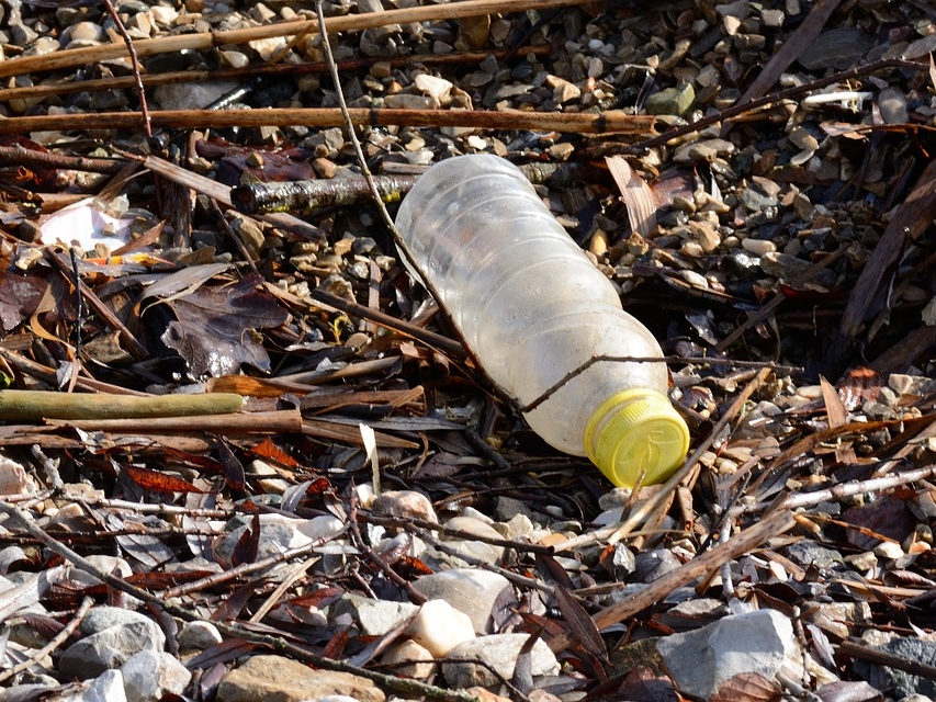 Image for Нижегородец запустил экологический челлендж #подними_бутылку