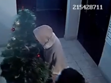 Видео дня: нижегородки украли новогоднюю елку из подъезда