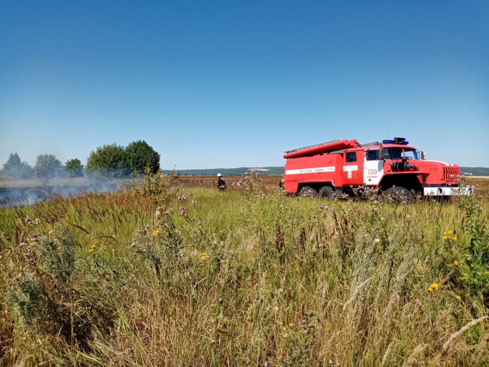 Пшеничное поле загорелось в Нижегородской области
