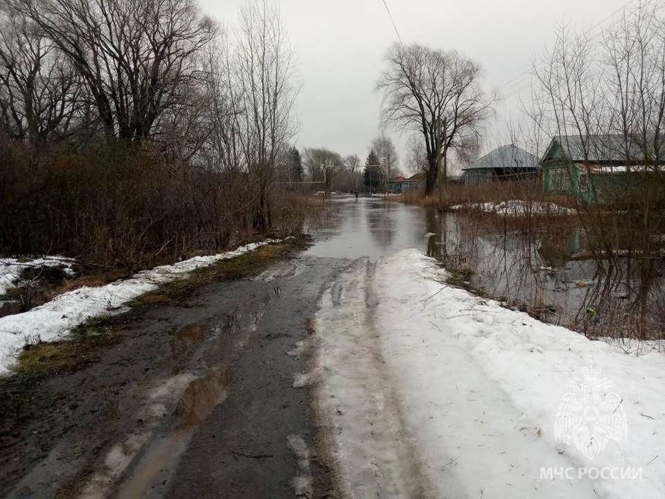 Image for Придомовые участки подтопило в селе Сумароково Нижегородской области