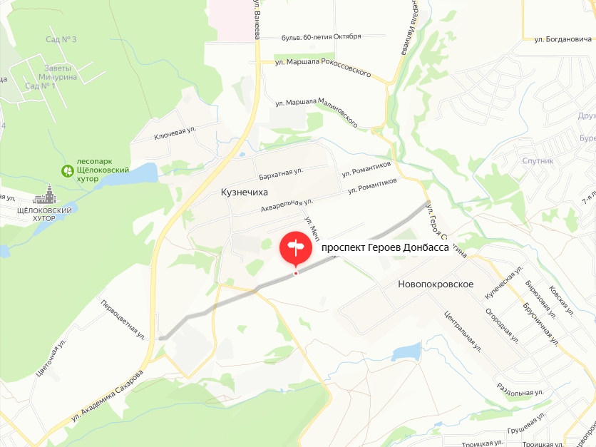 Image for Проспект Героев Донбасса появился на карте Нижнего Новгорода