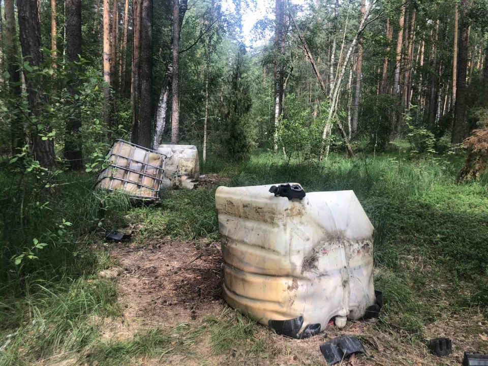 Image for Росприроднадзор обнаружил крупную свалку промотходов в Дзержинске