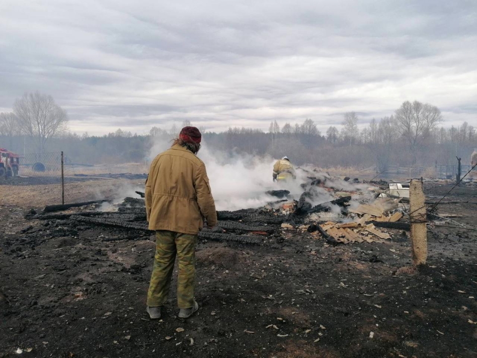 Image for Пожар в Богородском районе уничтожил и повредил 12 дачных домов: фото