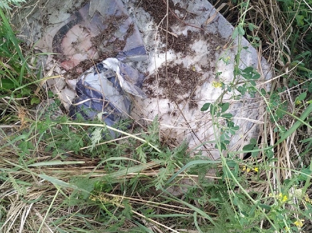 Image for Нижегородцы обнаружили свалку надгробий в Кстовском районе