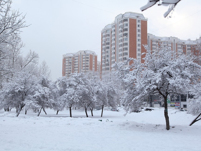 Image for Потепление до +3 °C ожидается в Нижнем Новгороде 28 ноября