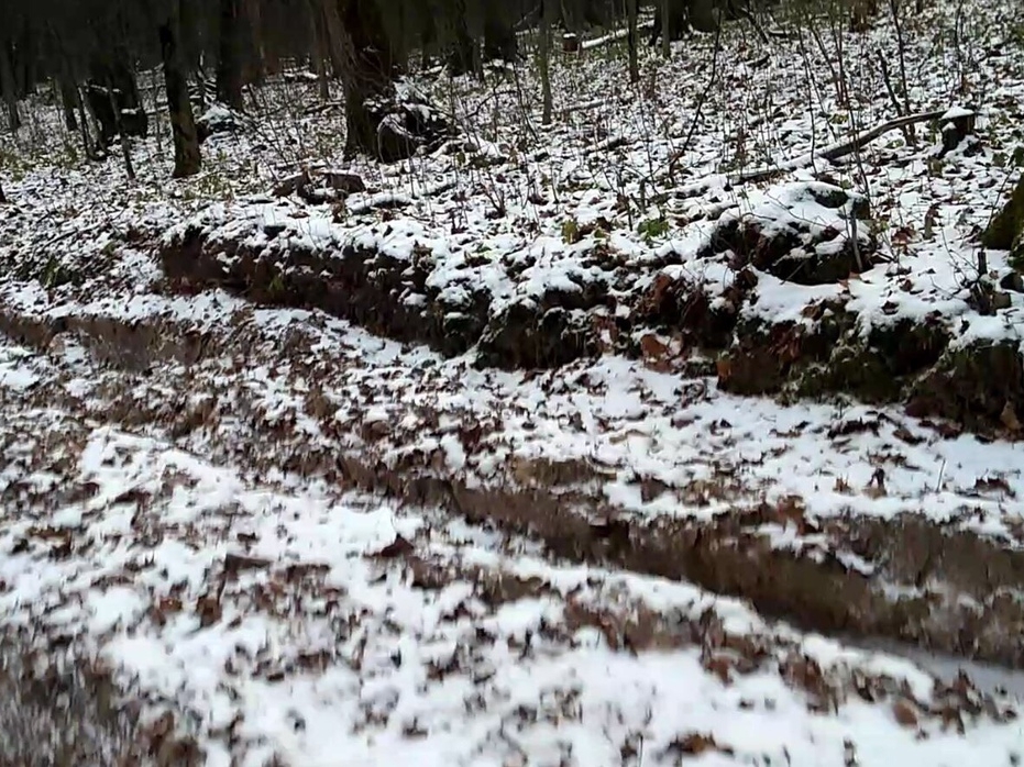 Лыжную трассу на Щелоковском хуторе восстановят к зимнему сезону
