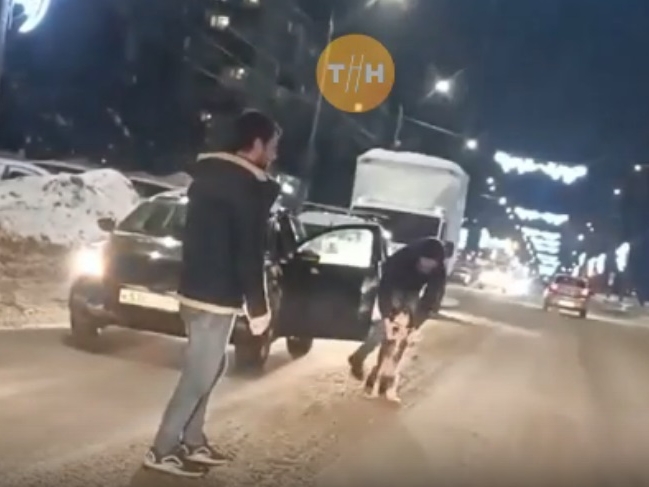 Image for Нижегородские водители остановили поток машин ради спасения щенка 