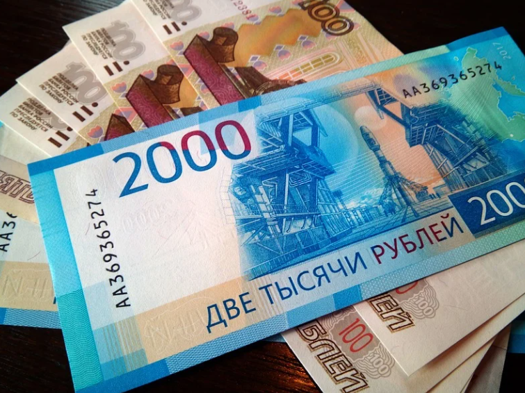 Линдовскую птицефабрику оштрафовали на 150 тысяч рублей за эконарушения
