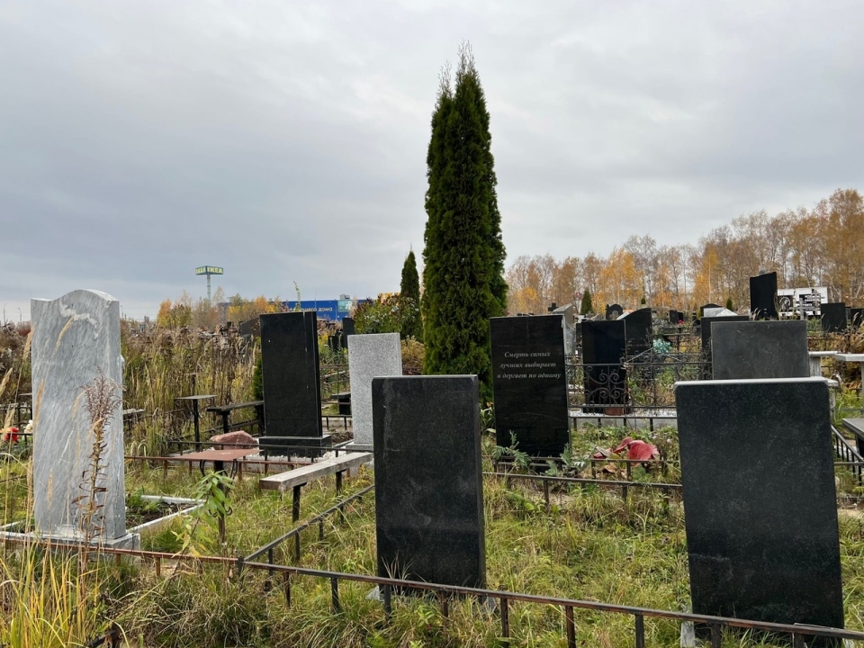 Image for Смертность сократилась на 8% в Нижегородской области с начала 2023 года