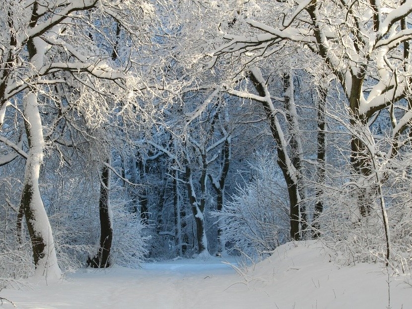 Image for Синоптик рассказала, какой будет зима для нижегородцев в 2021 году