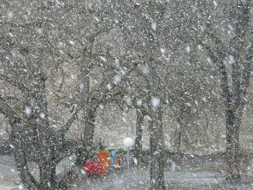 Image for Снегопады ожидаются в Нижнем Новгороде в ночь с 12 на 13 января