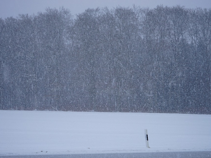 Снежная и пасмурная погода ожидается в Нижегородской области на выходных 