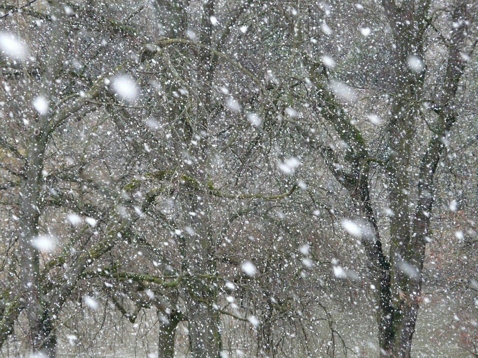 Image for Потепление и снегопад  ожидаются в Нижегородской области в начале недели