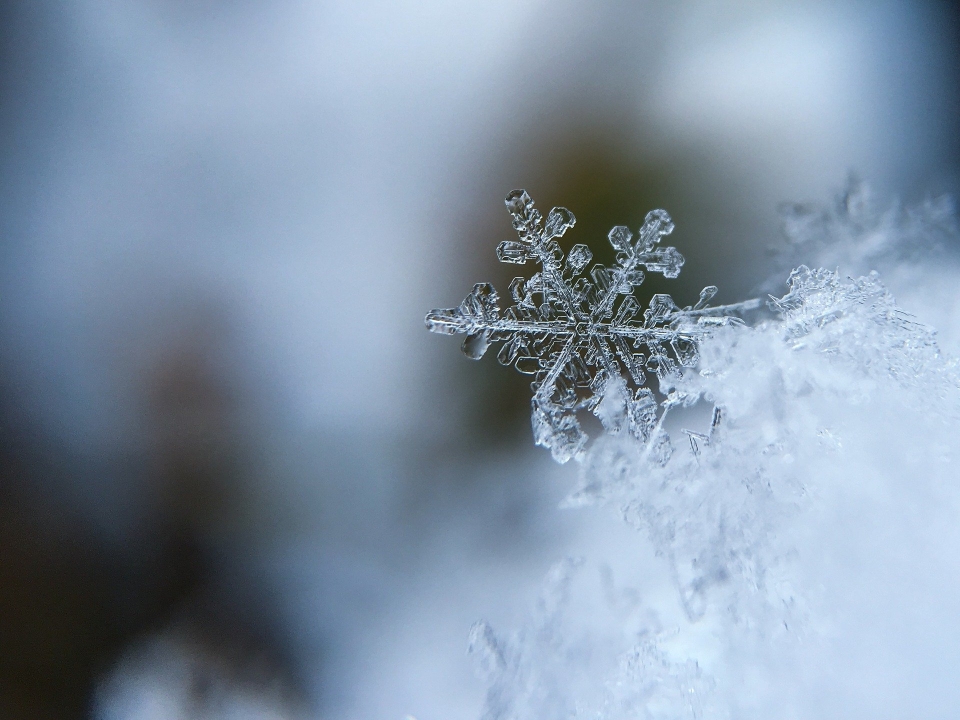 Image for Морозную погоду пообещали жителям Нижегородской области в ноябре