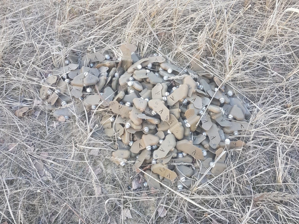 Image for Нижегородец наткнулся на мины в Сормовском районе