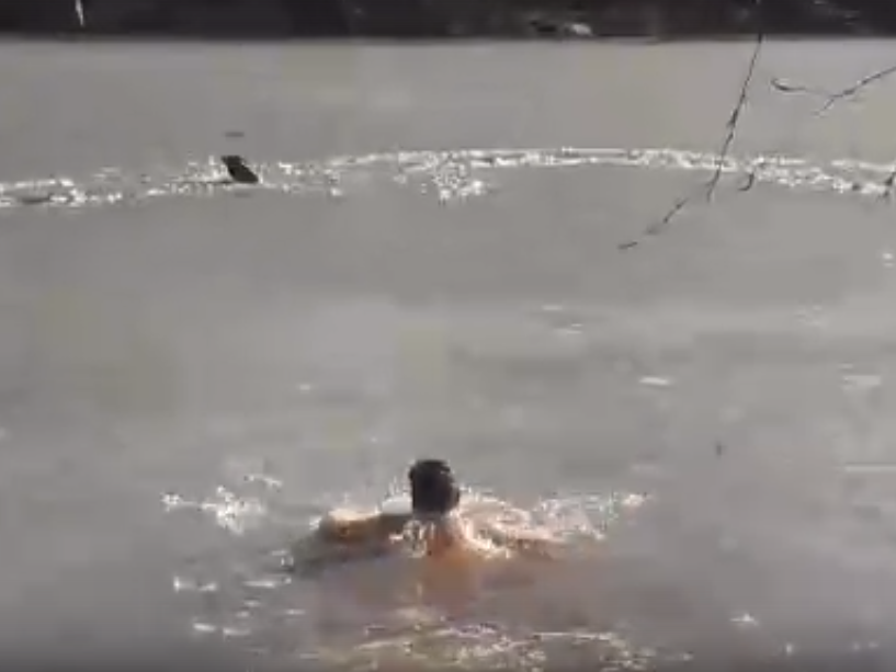 Нижегородский разведчик бросился в ледяную воду, спасая собаку