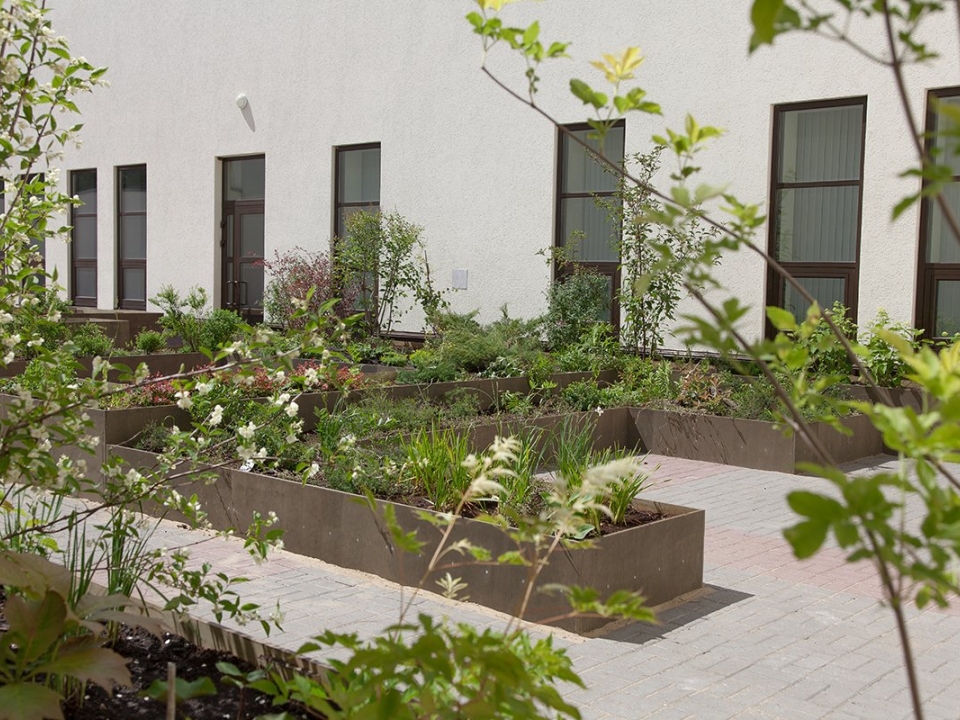 В нижегородском крематории откроется мемориальный ботанический сад