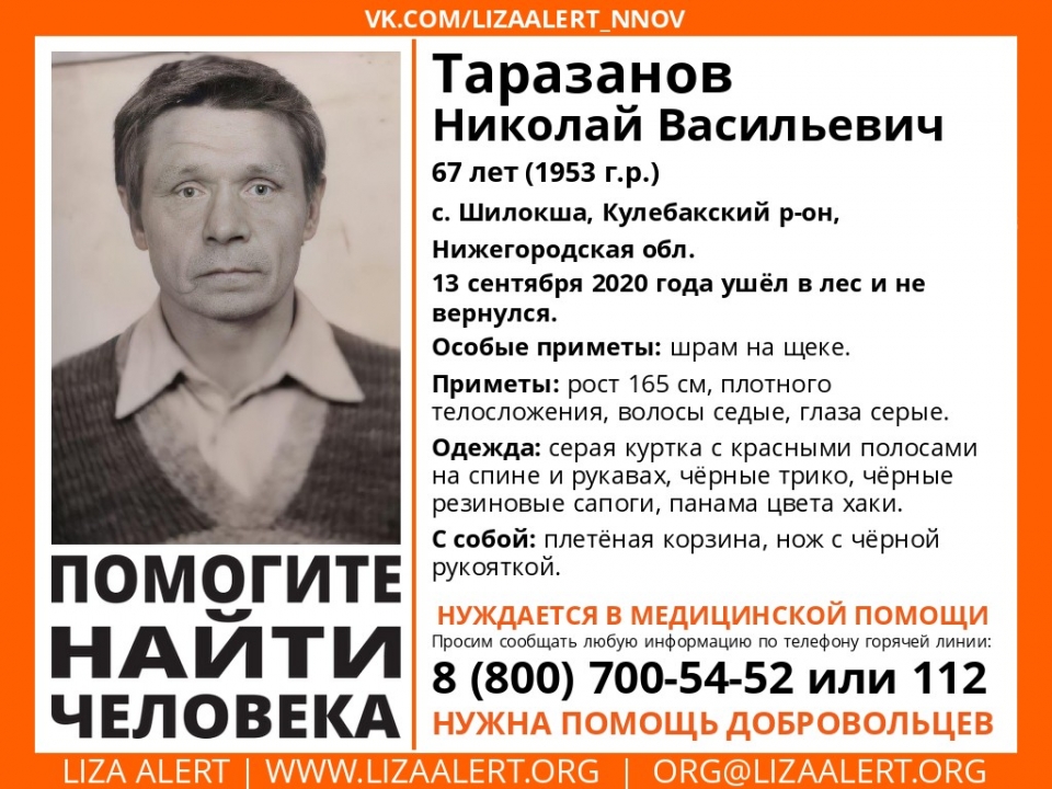 67-летнего Николая Таразанова разыскивают в Кулебакском районе