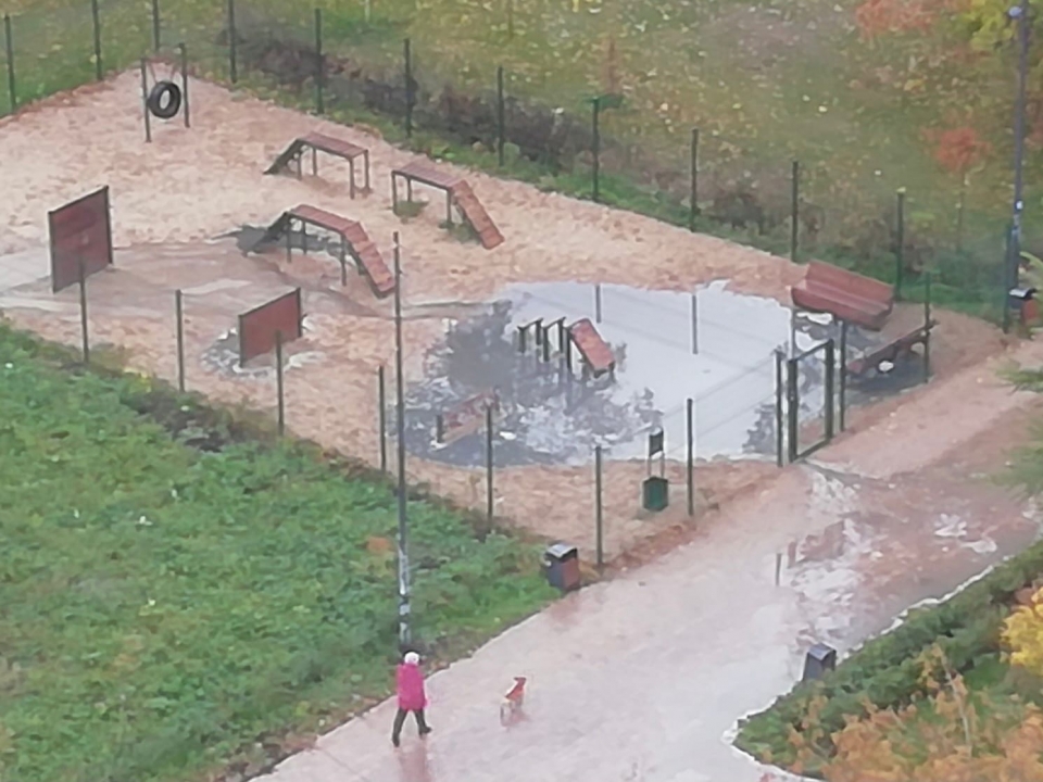 Image for Площадку для выгула собак в Нижнем Новгороде затопило фекалиями