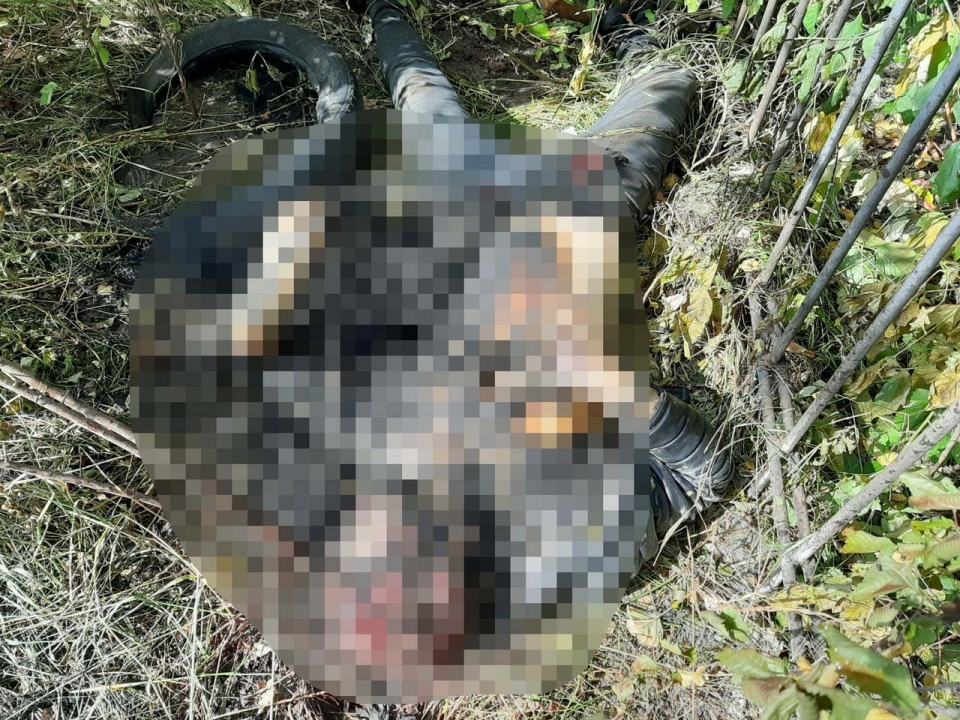 В Московском районе найдено тело мужчины со следами насильственной смерти и ожогами