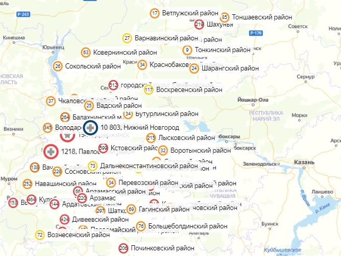 В 31 районе Нижегородской области не нашли новых заражений