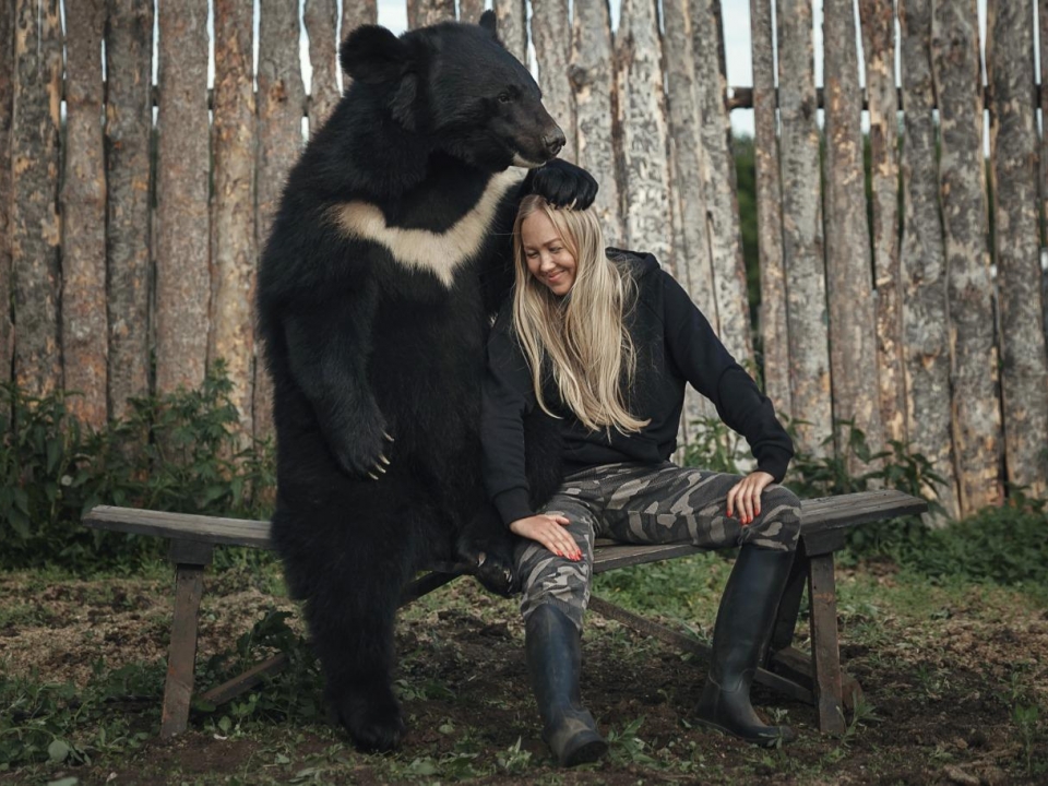 Хозяйка замерзающих цирковых медведей не хочет отдавать их в зоопарк