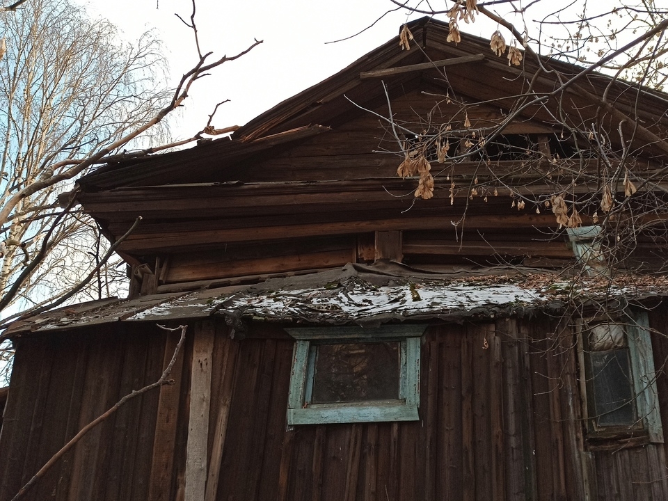Image for Упавшее дерево проломило крышу дома в центре Нижнего Новгорода