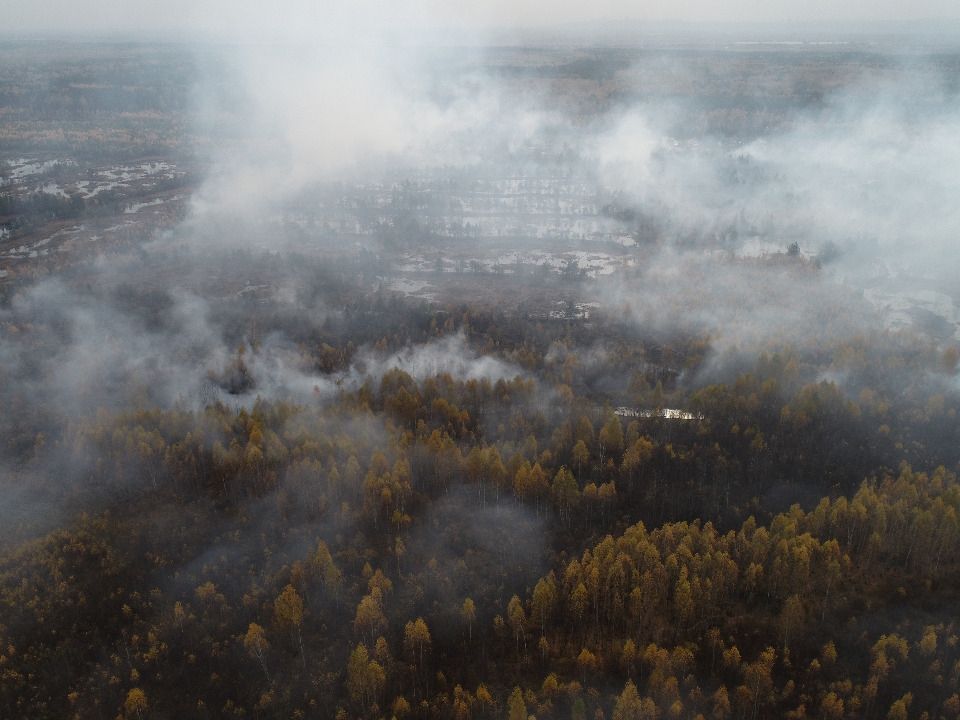 Image for Нижегородцам запретили посещать леса до 19 октября