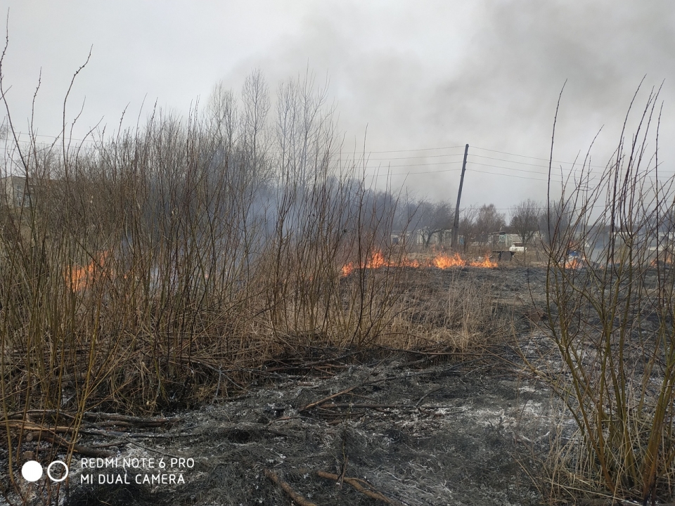 Image for 59 случаев загорания сухой травы произошло в Нижегородской области за сутки