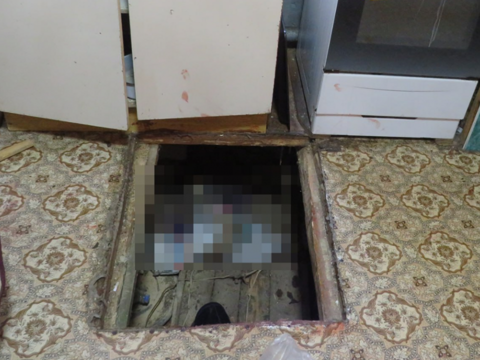 Image for Житель Кулебак спрятал в подвале труп убитого собутыльника