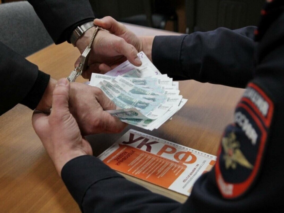 Image for На нижегородца завели уголовное дело за подкинутую взятку полицейскому