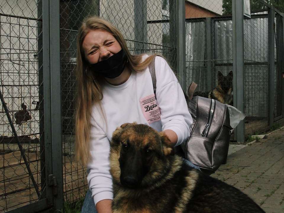 Image for Нижегородские кинологи нашли новый дом 11 служебным собакам за сутки