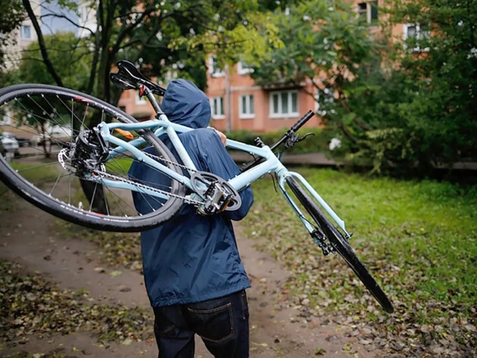 Image for В Павлове местный житель украл велосипед из мести
