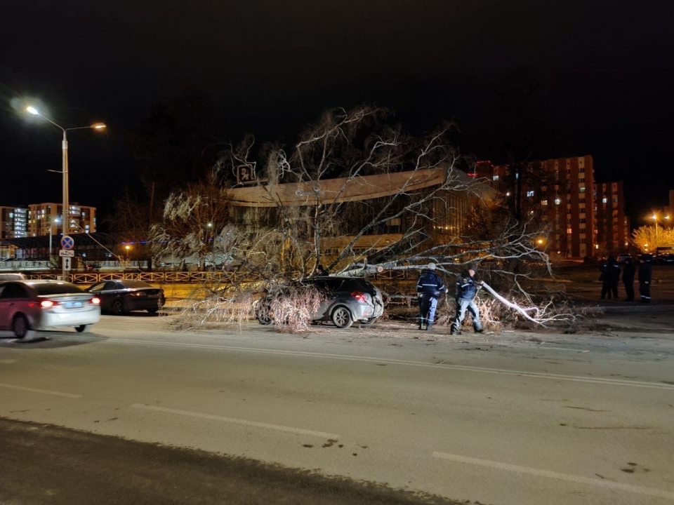 Image for Сильный ветер нарушил электроснабжение в 87 населенных пунктах Нижегородской области