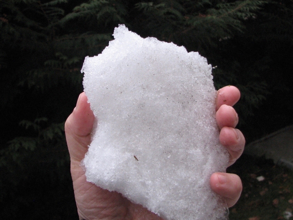 Image for Снег привезли в Дзержинск на технике