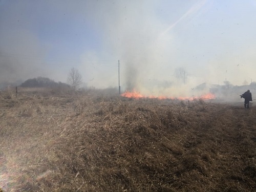 Image for Шесть домов сгорели в Большеболдинском районе из-за пала сухой травы 18 апреля