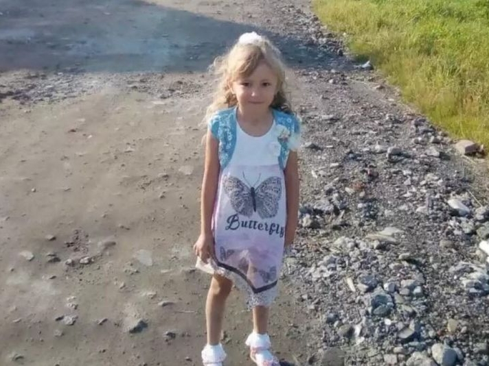 Image for Мошенники собирают деньги на поиски 5-летней Зарины Авгоновой