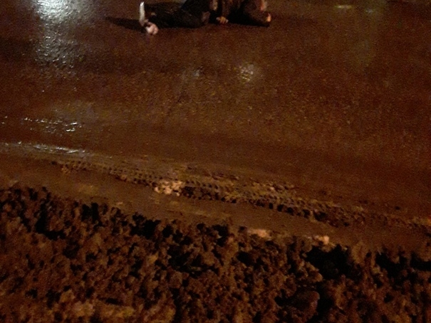 Image for Иномарка насмерть сшибла пешехода в Арзамасе