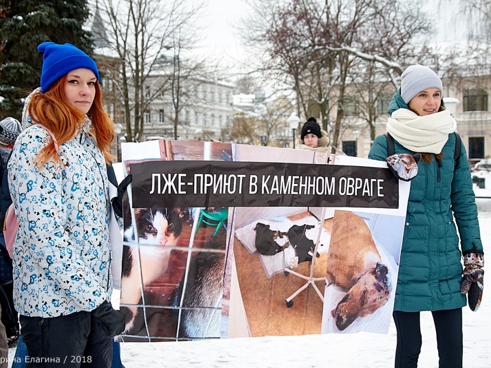 Image for Зоозащитники провели митинг против лжеприюта Инны Родионовой