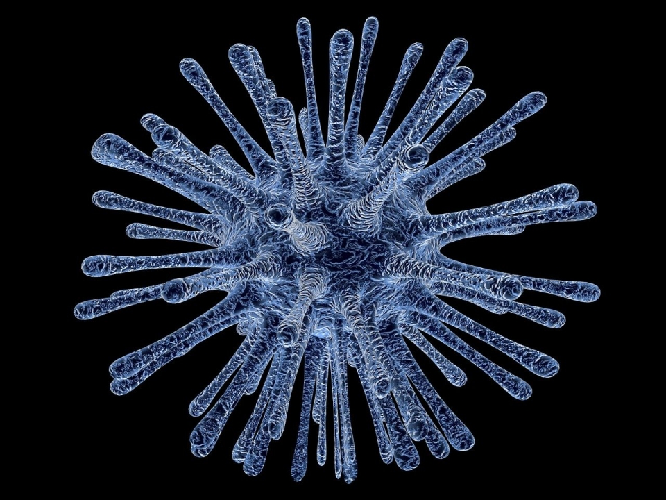 Image for Китайские учёные назвали вероятный источник коронавируса